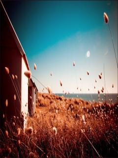 Other Wallpapers 0922